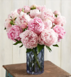 Discover the Newest Arrival, the Pink Peony | 1800 Flowers Coupon