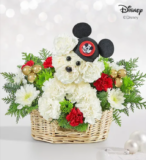 Explore The 1-800-Flowers Disney Collection